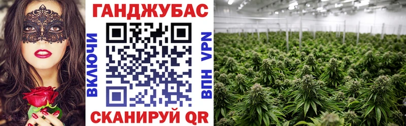 Бошки Шишки планчик Дегтярск